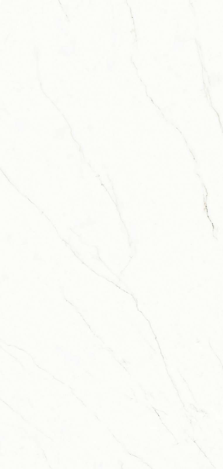 LJGA85008 金絲米灰