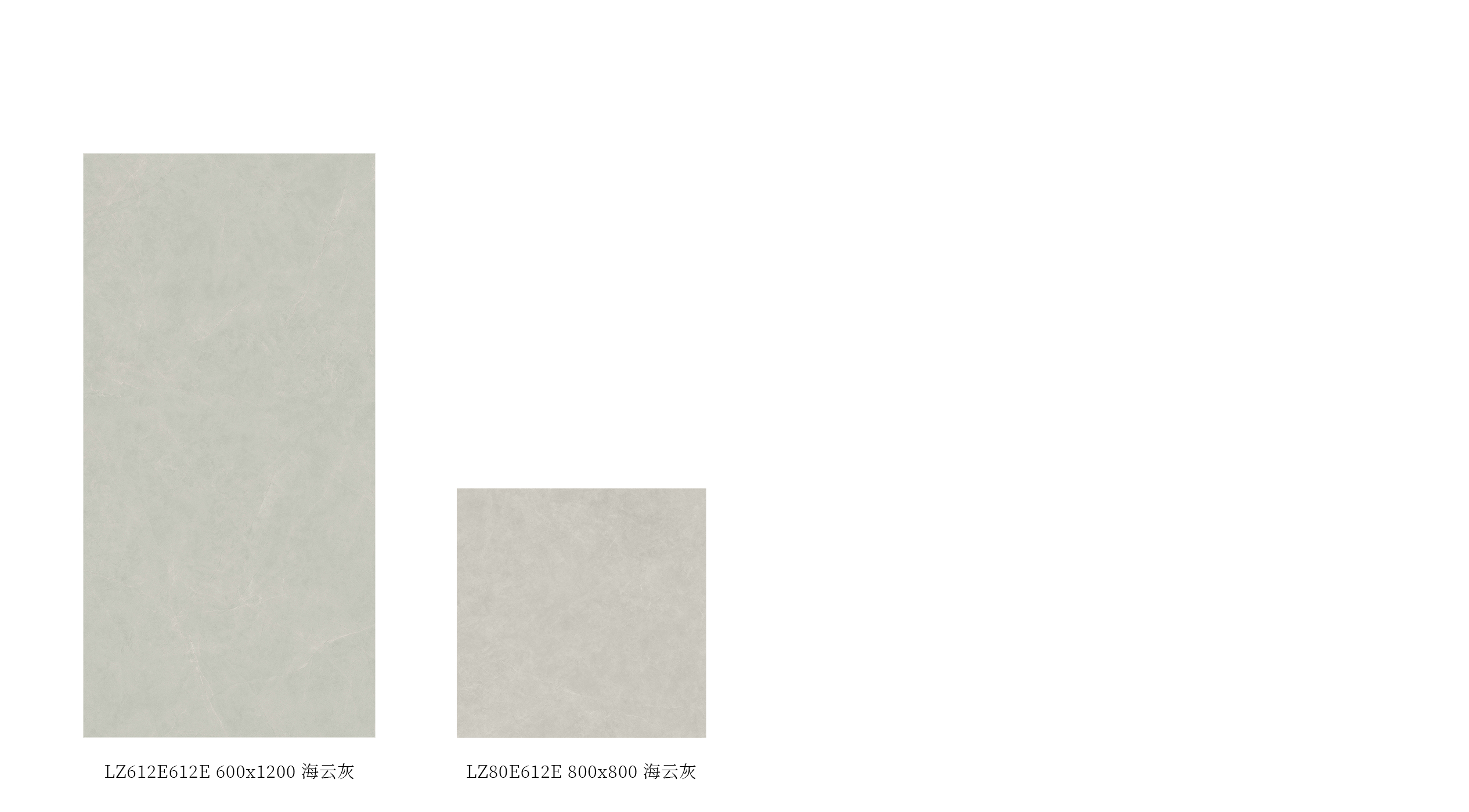 LZ612E612E、LZ80E612E產品圖