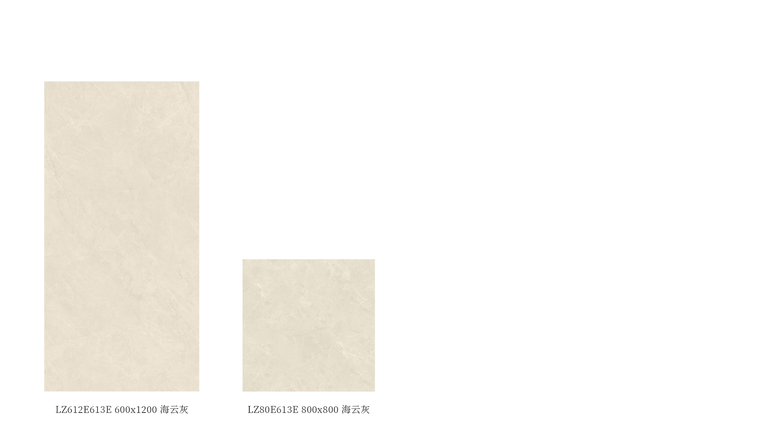 LZ612E613E、LZ80E613E產品圖