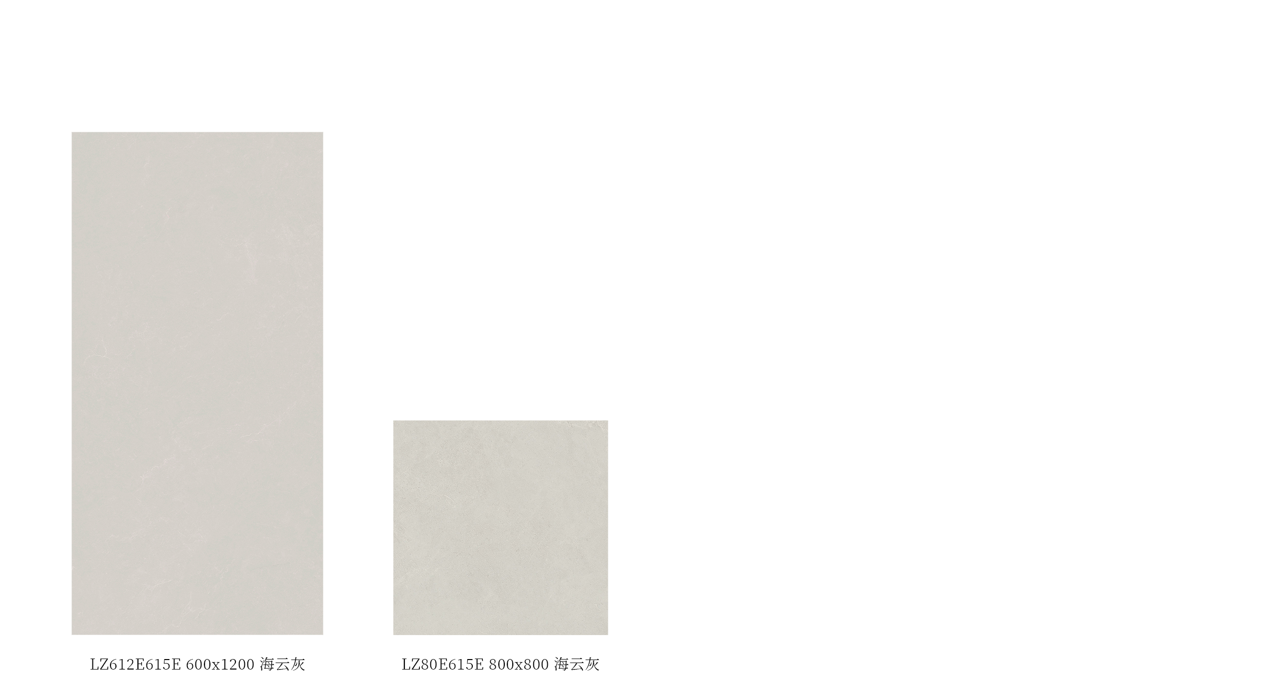 LZ612E615E、LZ80E615E產品圖